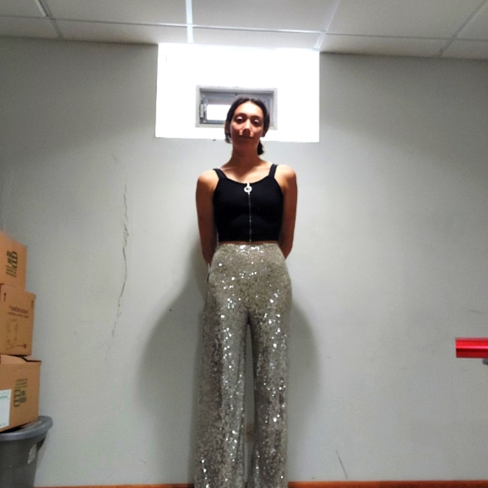 Vylette Frost Sequined Flair Pant